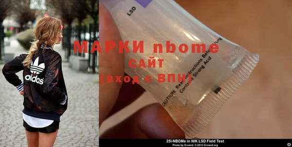 индика Новозыбков