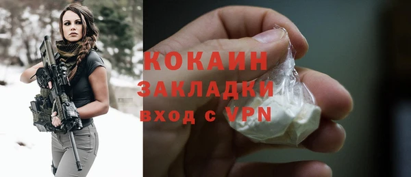индика Новозыбков