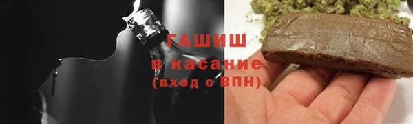 прущие грибы Осинники