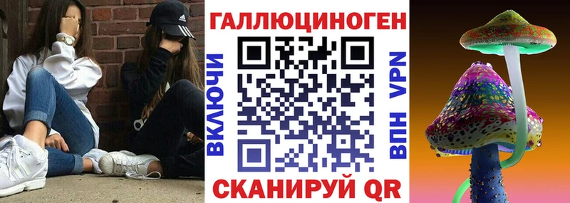 магазин  наркотиков  Лакинск  Галлюциногенные грибы Psilocybe 