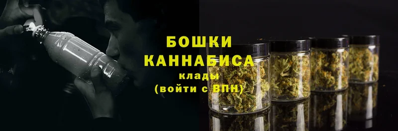 Каннабис сатива  где купить   Лакинск 